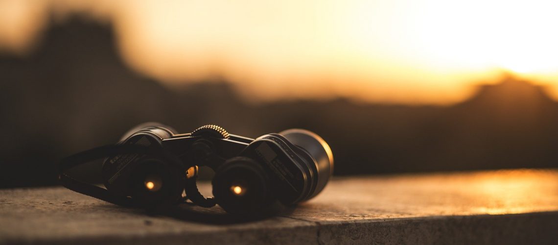 binoculars-inzicht